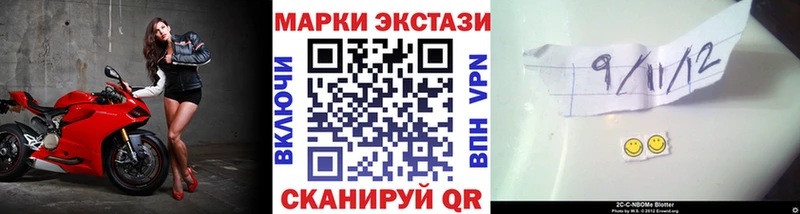Купить закладки  Щучье  Наркотические марки 1,8мг 